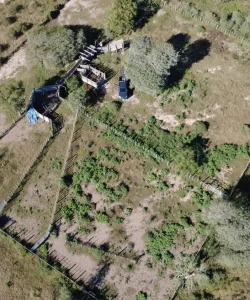 Campo ganadero alquiler 3