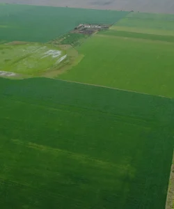 Campo Agrícola Videla 11